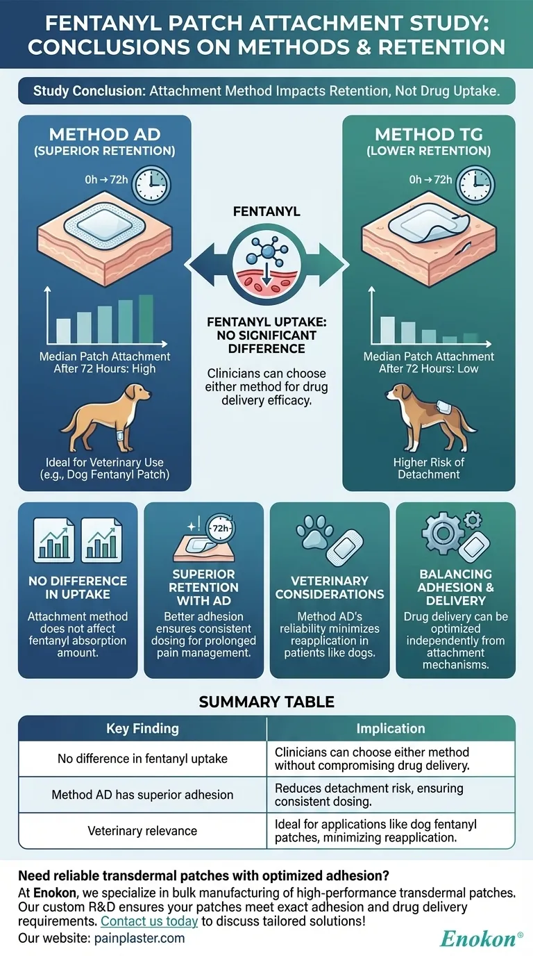フェンタニルパッチの貼付方法に関する研究からどのような結論が得られたか？接着とドラッグデリバリーに関する主な調査結果 ビジュアルガイド
