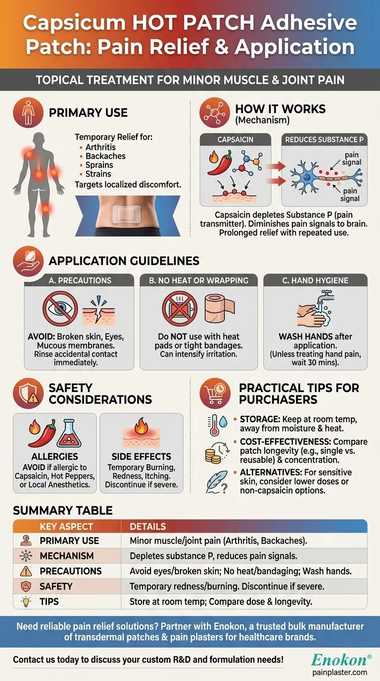 Para que é utilizado o penso adesivo Capsicum HOT PATCH?Aliviar a dor naturalmente com Capsaicina Guia Visual