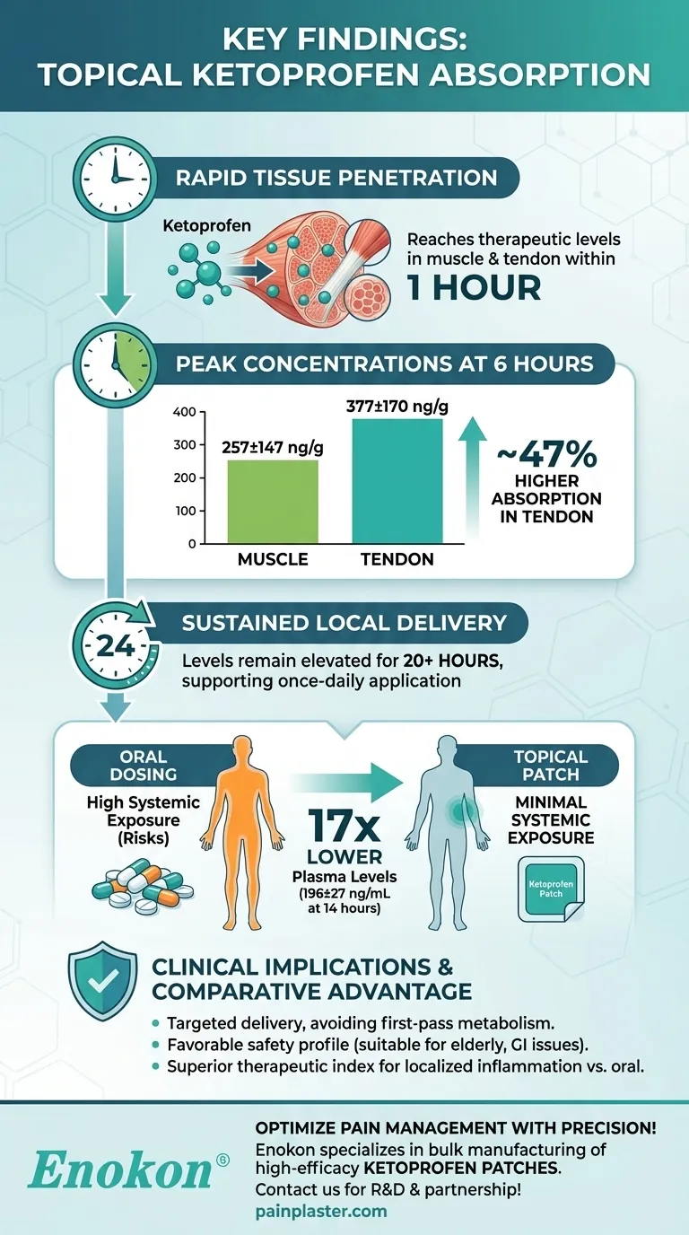 Quais foram as principais conclusões sobre a absorção do cetoprofeno após aplicação tópica?Alívio rápido e direcionado da dor Guia Visual