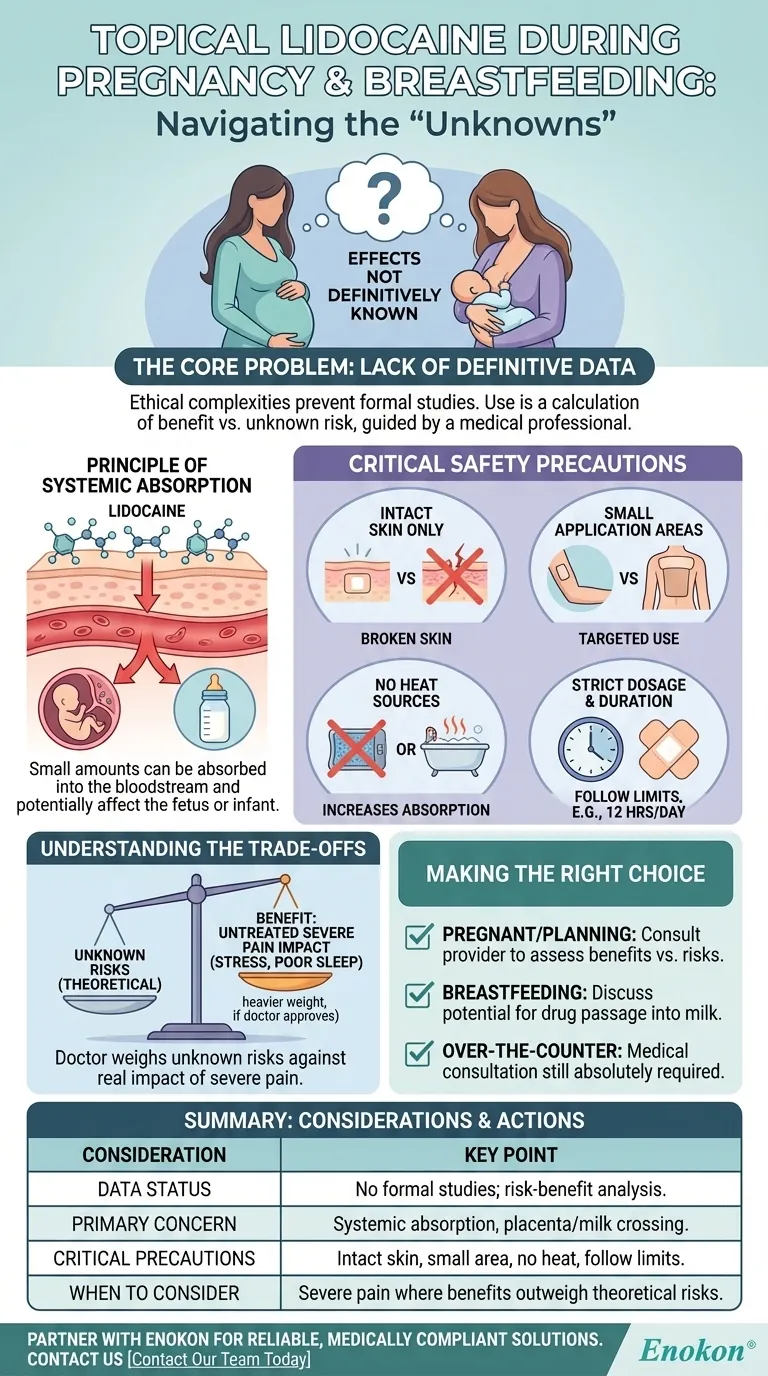 What special considerations exist for pregnancy and breastfeeding with topical lidocaine? Essential Safety Guide Visual Guide
