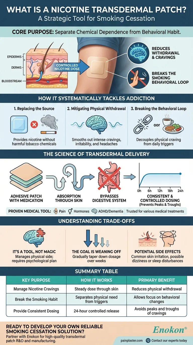 Qual é o objetivo de um adesivo transdérmico de nicotina?Um caminho mais seguro para deixar de fumar Guia Visual
