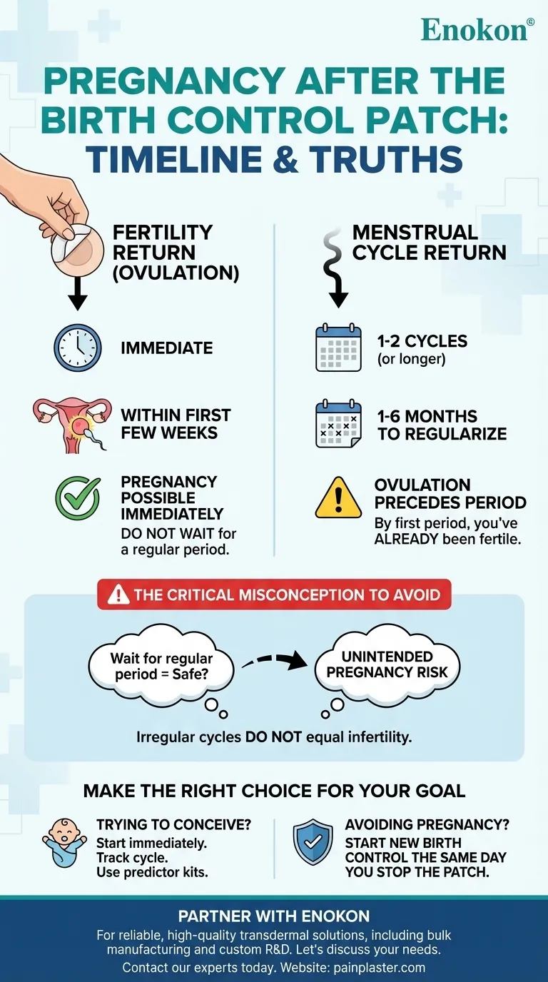 避妊パッチ中止後、どのくらいで妊娠可能か？妊娠可能性の回復は早い ビジュアルガイド