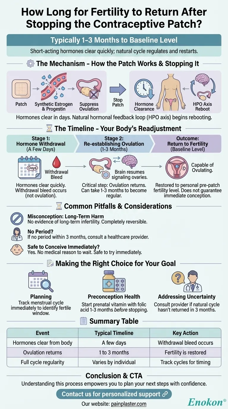 Quanto tempo demora a fertilidade a regressar depois de parar o adesivo contracetivo?Principais informações sobre a recuperação Guia Visual