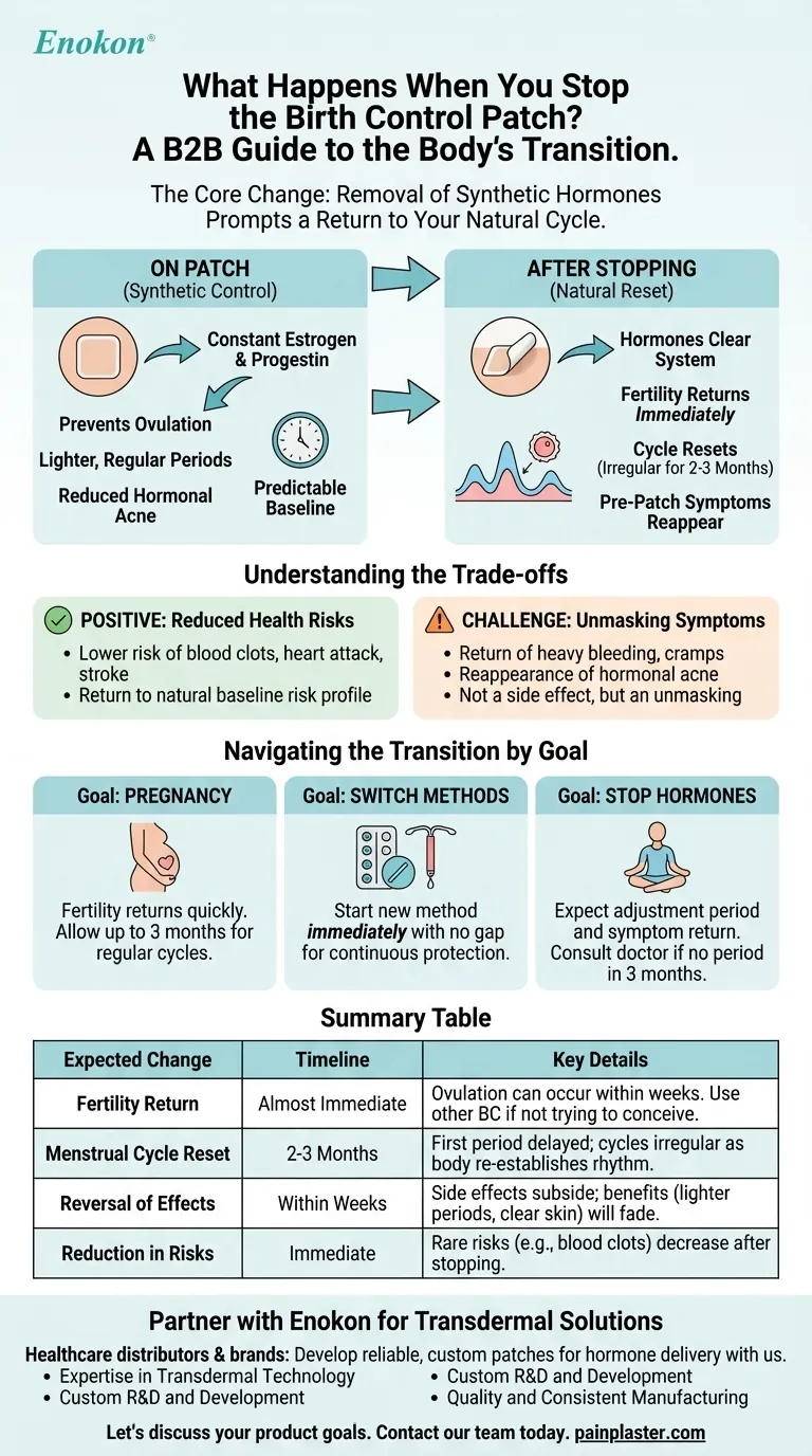 避妊パッチをやめたらどうなる？ホルモンの変化と予想されること ビジュアルガイド