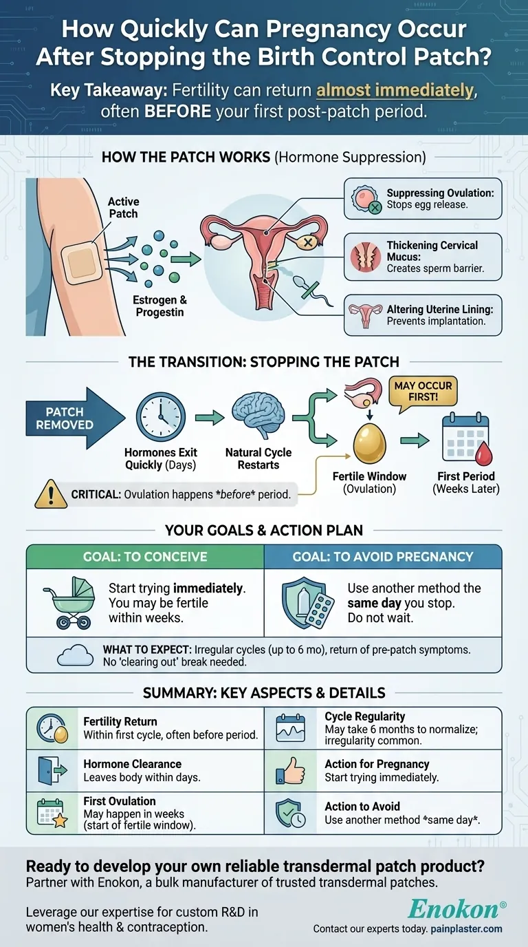 避妊パッチを止めた後、妊娠はどのくらい早く起こりますか？妊孕性に関する洞察 ビジュアルガイド