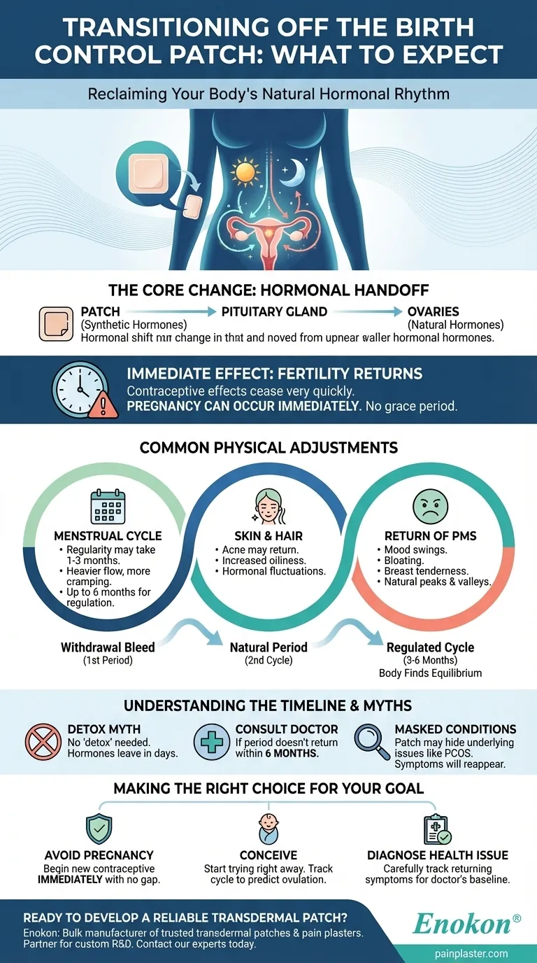 O que se deve esperar quando se faz a transição para o adesivo anticoncecional?Navegar nas alterações hormonais e na fertilidade Guia Visual