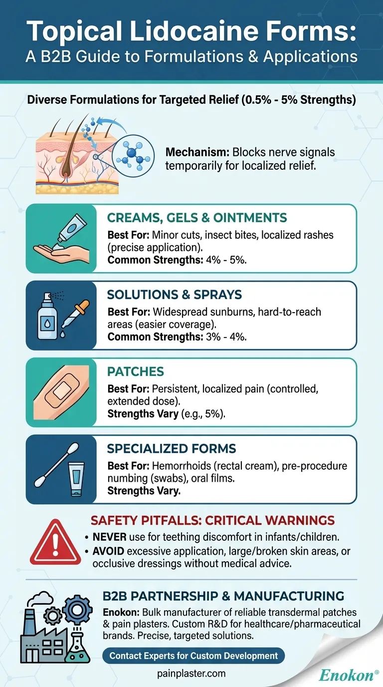 Какие формы лидокаина для местного применения существуют?Изучите разнообразные варианты обезболивания Визуальное руководство