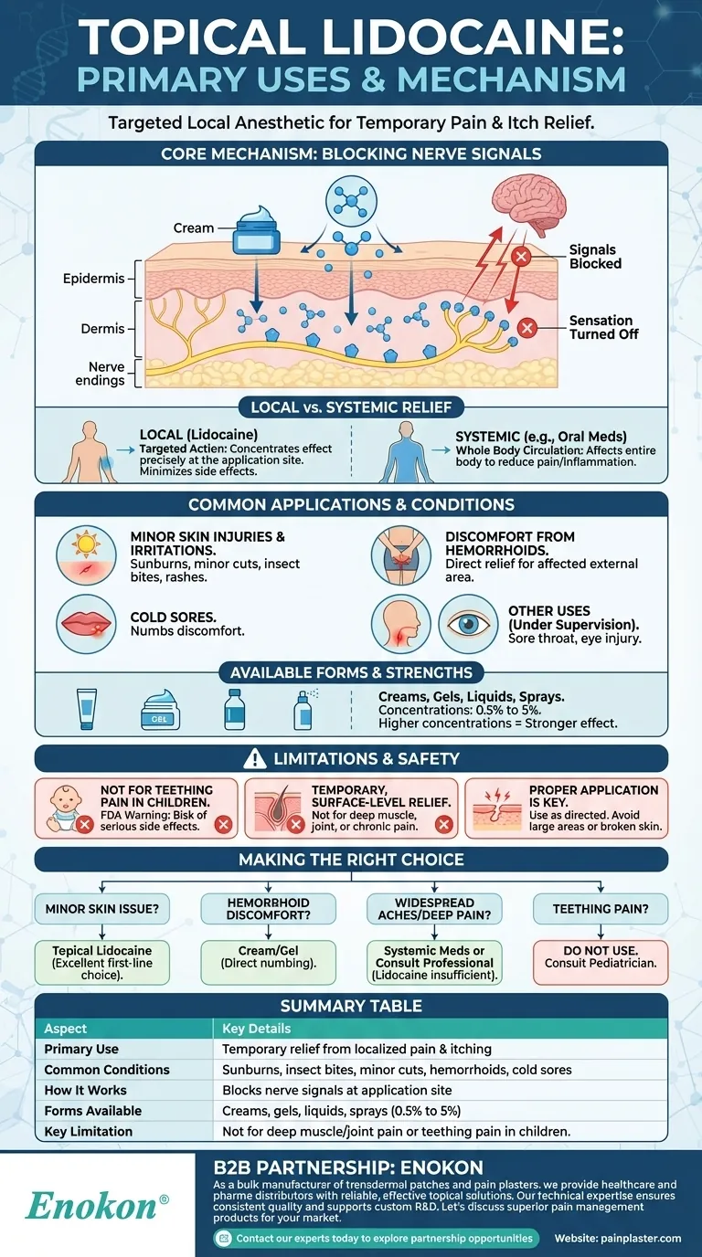 Para que é que a lidocaína tópica é utilizada principalmente?Alívio da dor, comichão e muito mais Guia Visual