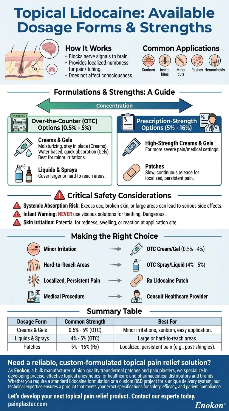 Quais são as formas de dosagem disponíveis de lidocaína tópica?Explorar opções personalizadas de alívio da dor Guia Visual
