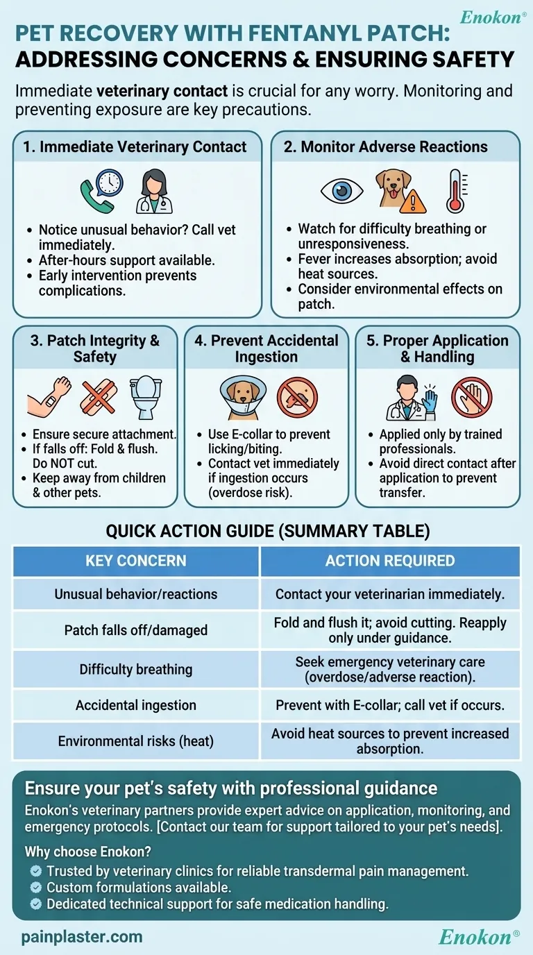使用芬太尼贴片时，如果担心宠物的恢复情况，该怎么办？专家安全提示 图解指南