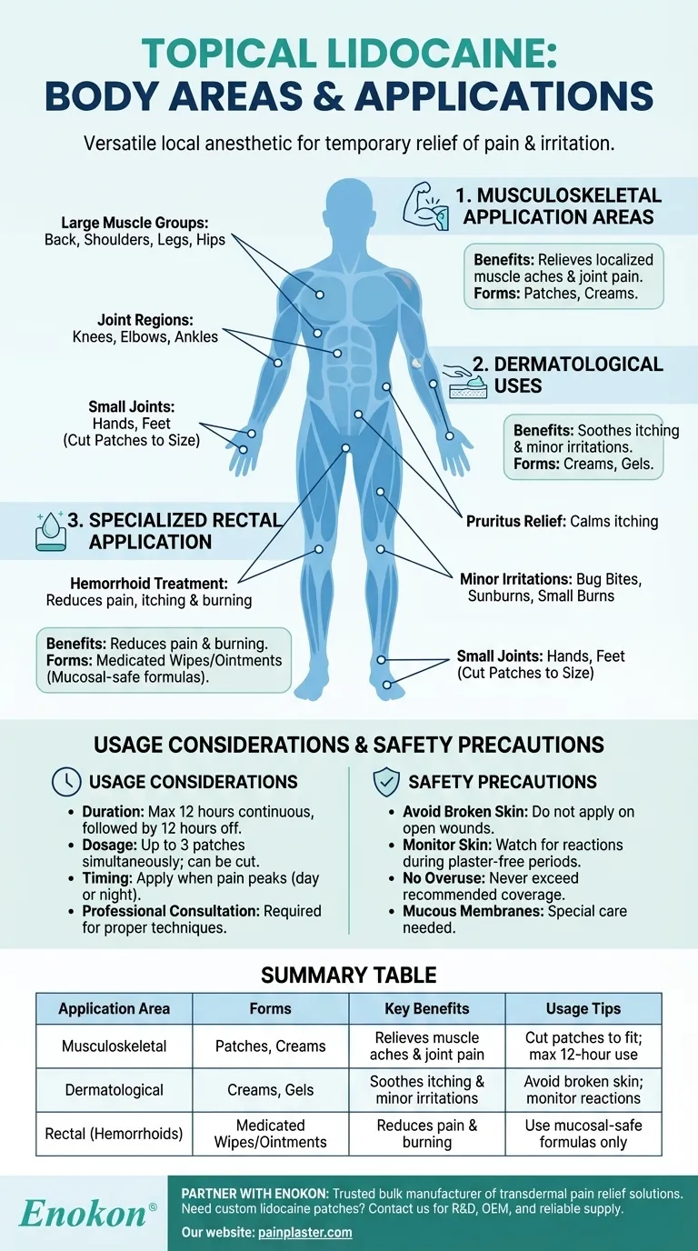 局部利多卡因可用于哪些身体部位？有效缓解皮肤、肌肉等部位的疼痛 图解指南