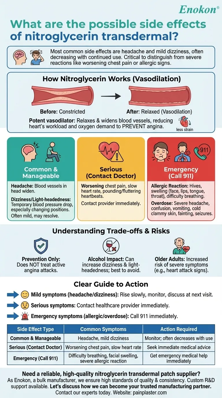 ما هي الآثار الجانبية المحتملة للنيتروجليسرين عبر الجلد؟دليل المخاطر والسلامة دليل مرئي
