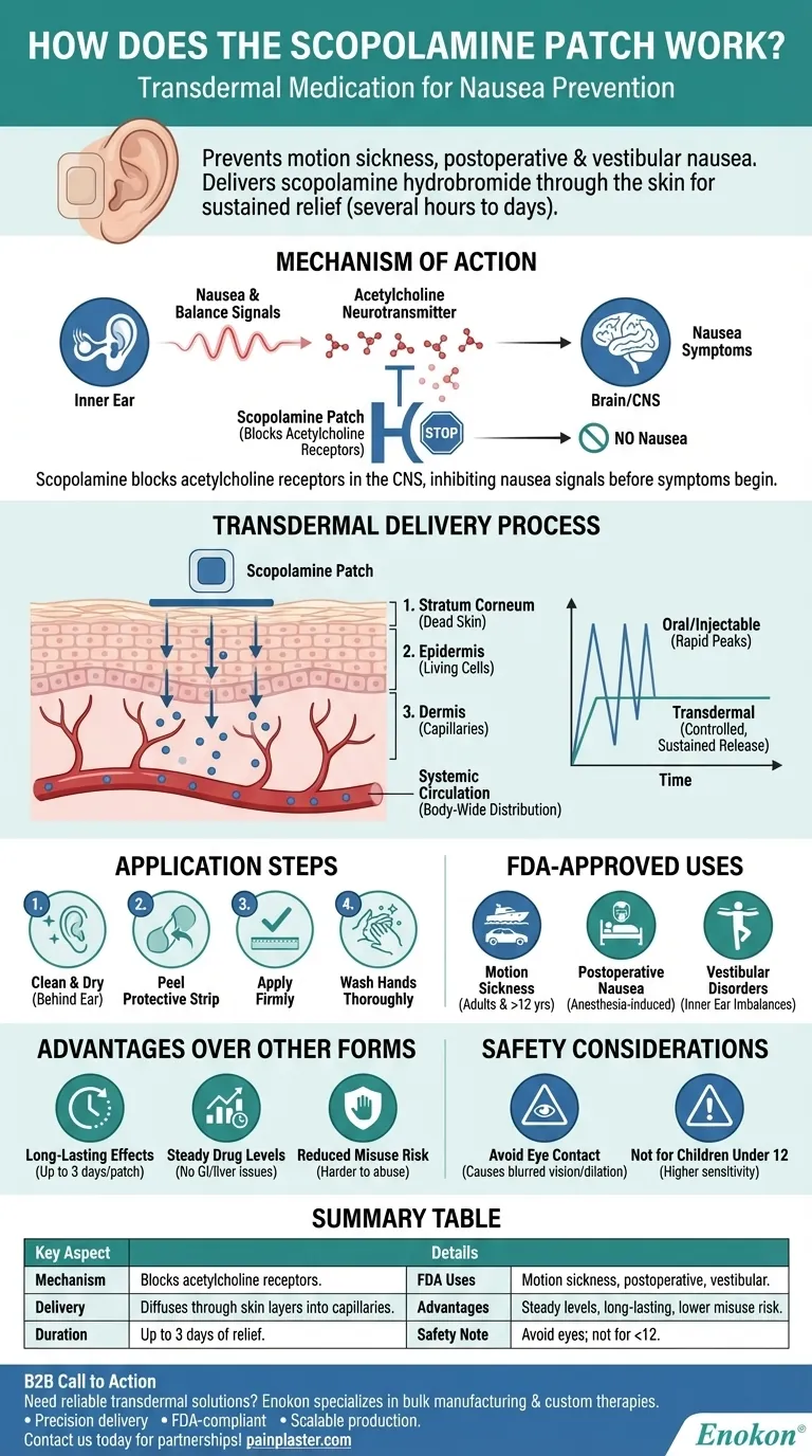 How does the scopolamine patch work? Understanding Its Motion Sickness & Nausea Relief Visual Guide