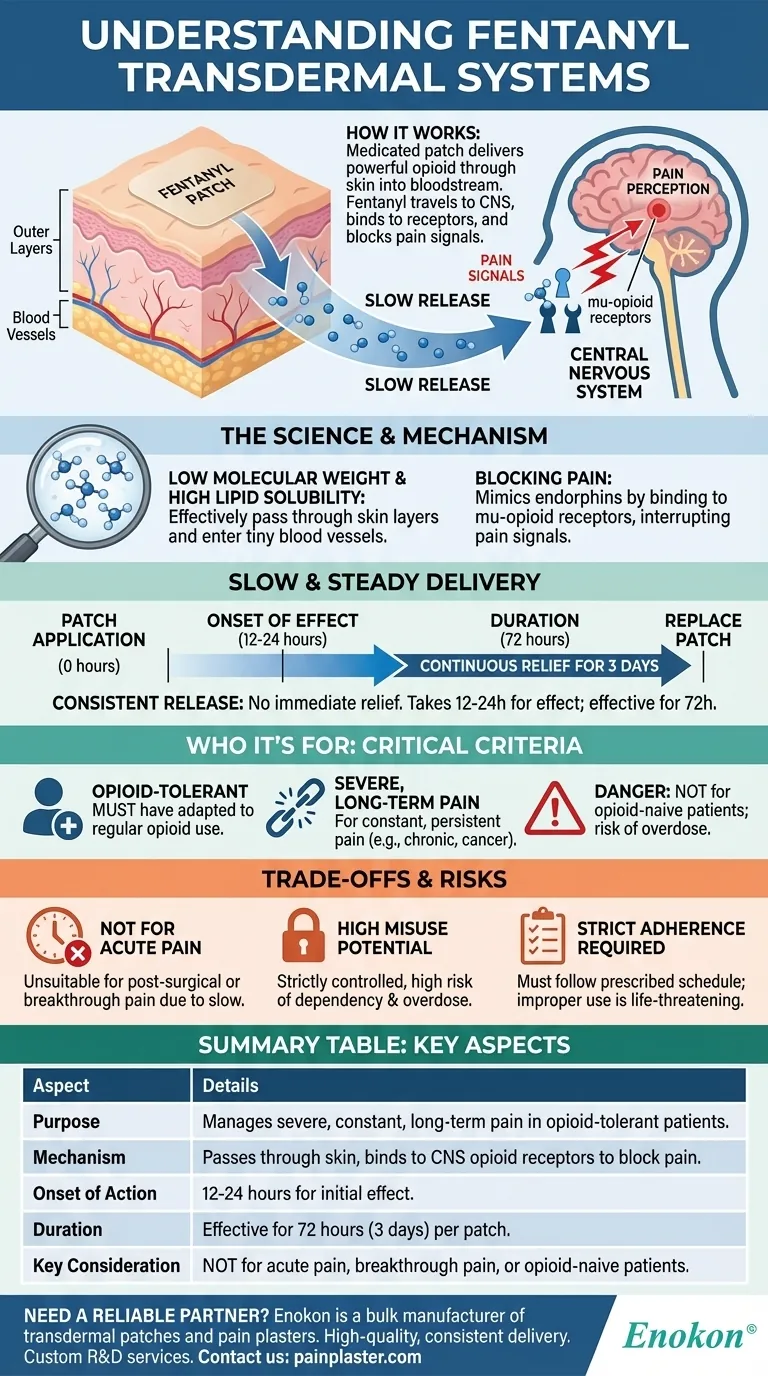 フェンタニル経皮吸収型製剤とは？制御された疼痛緩和の手引き ビジュアルガイド