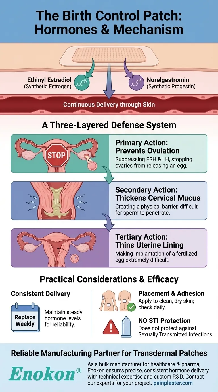 ¿Qué hormonas contiene el parche anticonceptivo y cómo funcionan?Anticoncepción hormonal Guía Visual