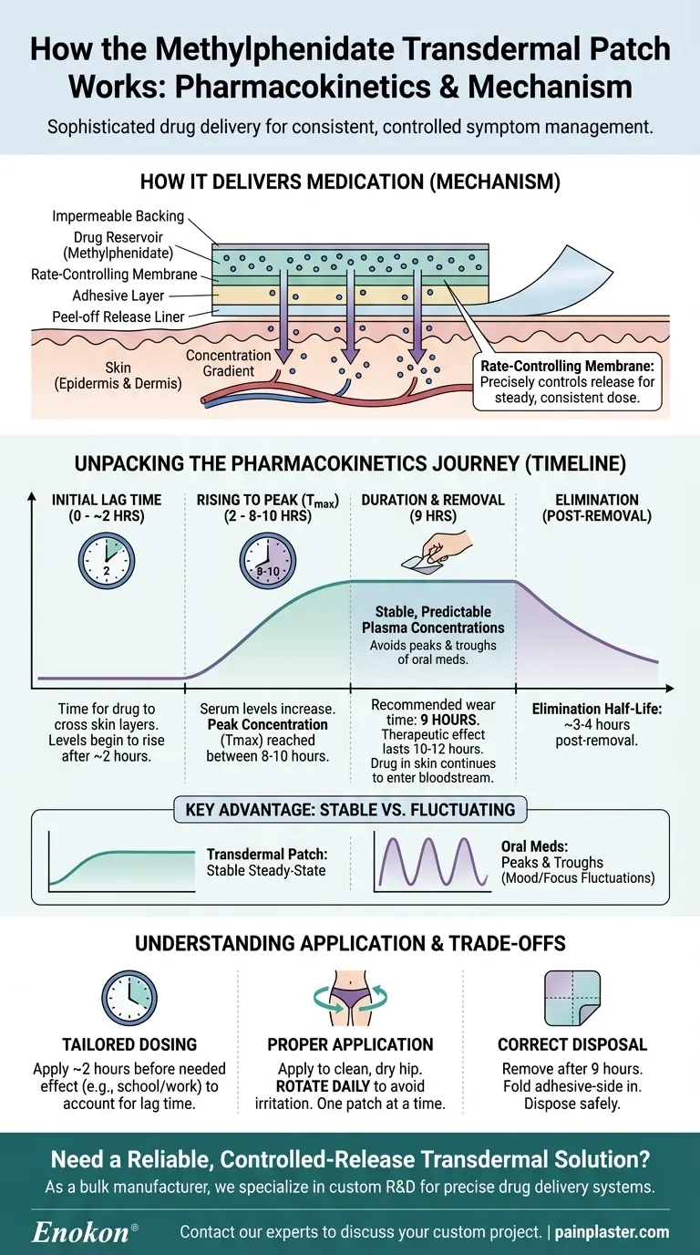 How does the methylphenidate transdermal patch work? A Guide to Controlled, All-Day Delivery Visual Guide
