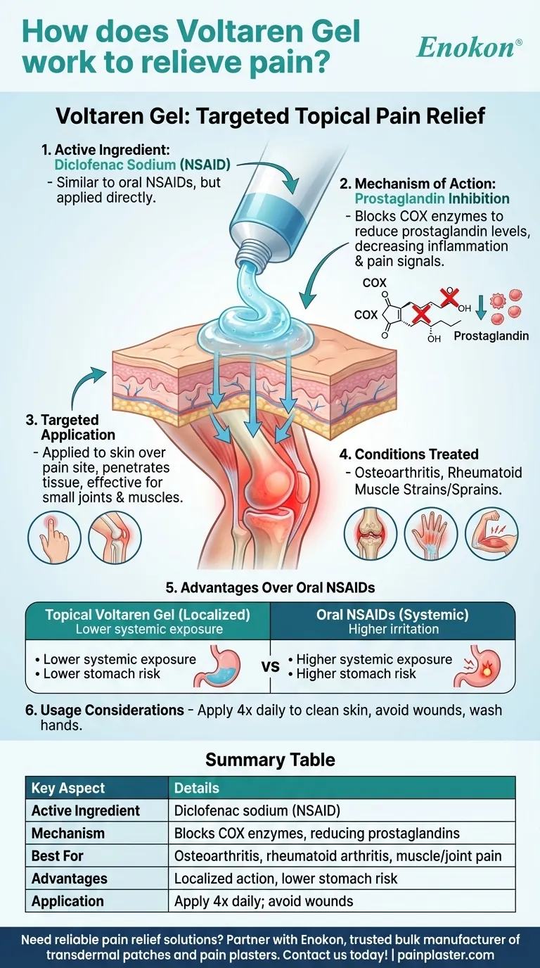 伏他灵凝胶如何缓解疼痛？探索靶向止痛背后的科学原理 图解指南