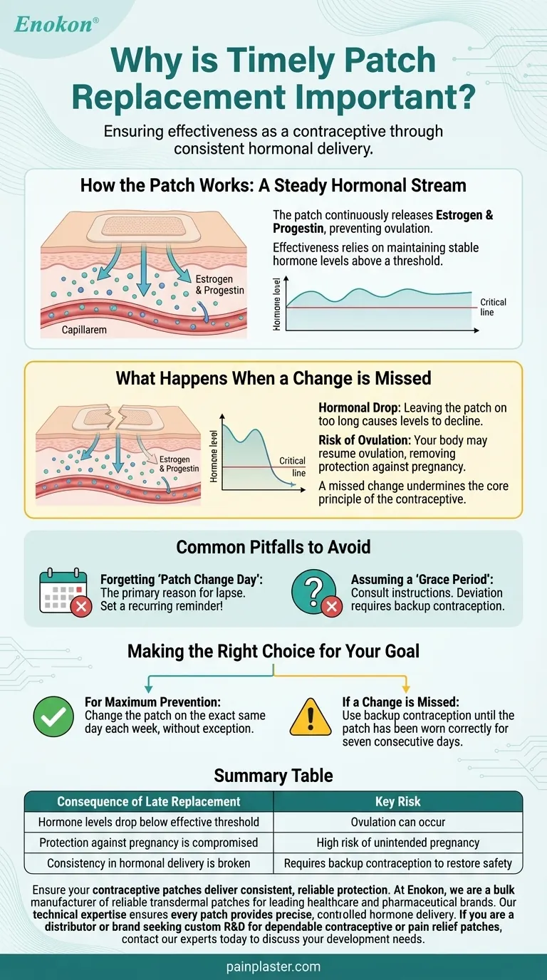タイムリーなパッチ交換が重要な理由一貫した保護と有効性の確保 ビジュアルガイド
