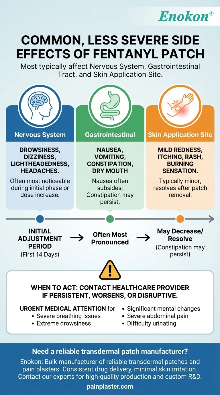 Quais são os efeitos secundários comuns, mas menos graves, do adesivo de fentanilo?Gerir a dor de forma segura Guia Visual