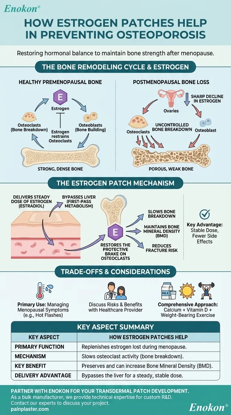 How do estrogen patches help in preventing osteoporosis? Preserve Bone Density Post-Menopause Visual Guide