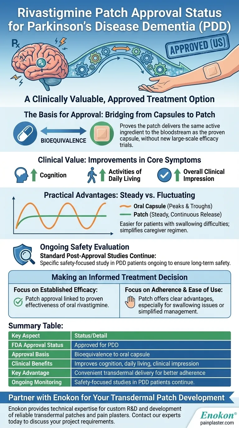パーキンソン病認知症（PDD）に対するリバスチグミンパッチの承認の現状は？ ビジュアルガイド