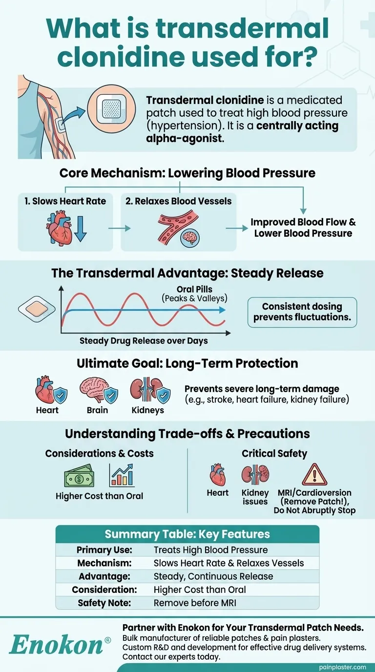 ¿Para qué se utiliza la clonidina transdérmica?Una cómoda opción para el tratamiento de la hipertensión Guía Visual