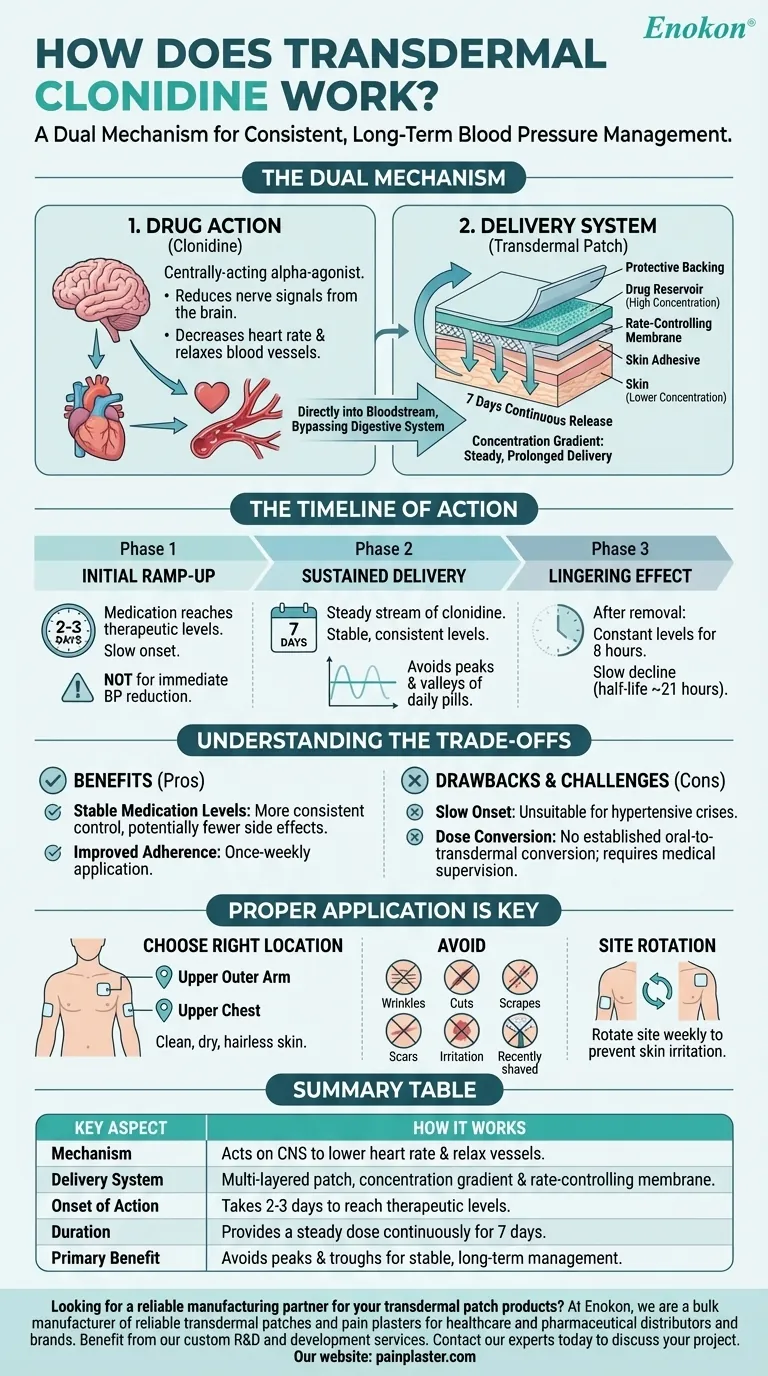 ¿Cómo actúa la clonidina transdérmica?Explicación de los beneficios y el mecanismo Guía Visual