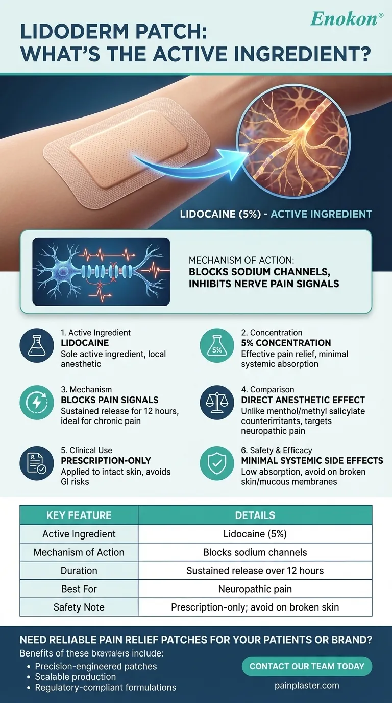 What is the active ingredient in the Lidoderm patch? Lidocaine for Targeted Pain Relief Visual Guide