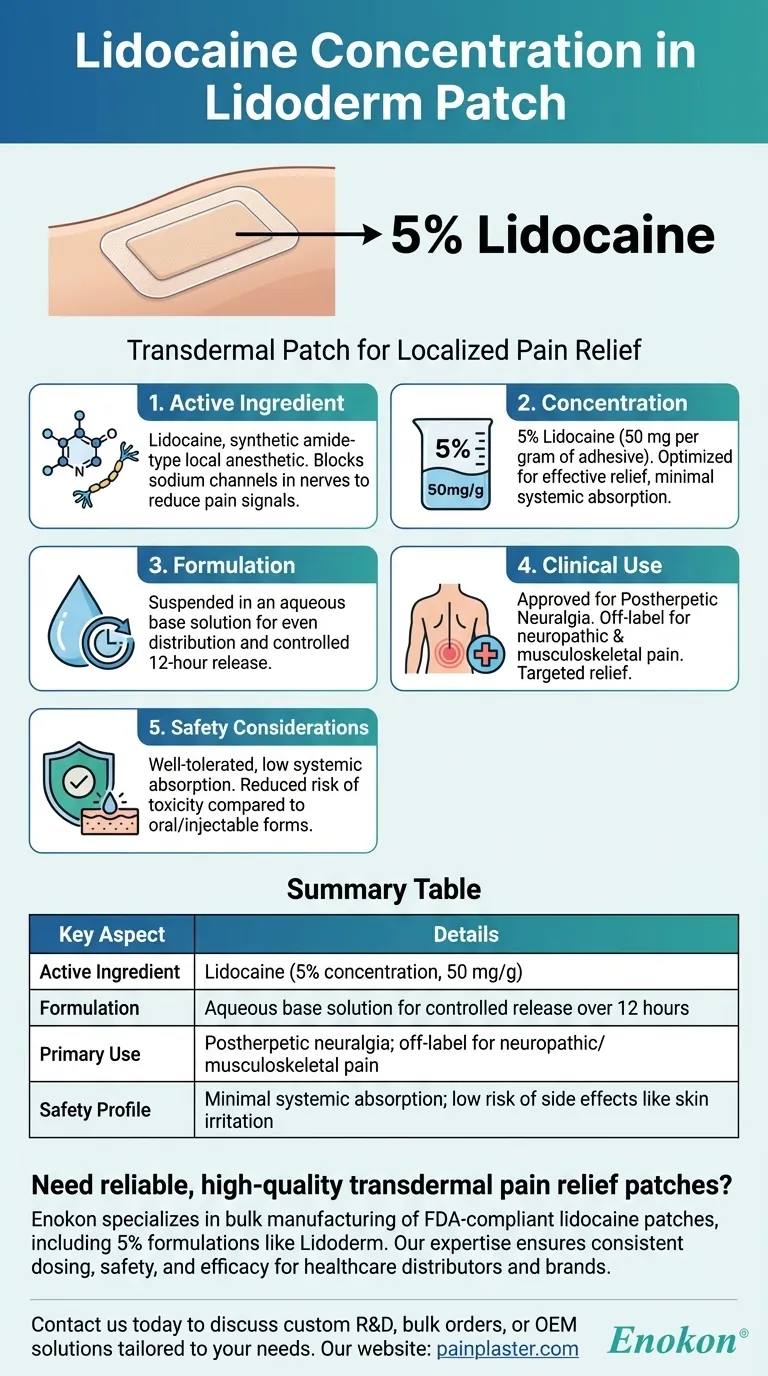 What concentration of lidocaine is present in the Lidoderm patch? Key Facts for Pain Relief Visual Guide