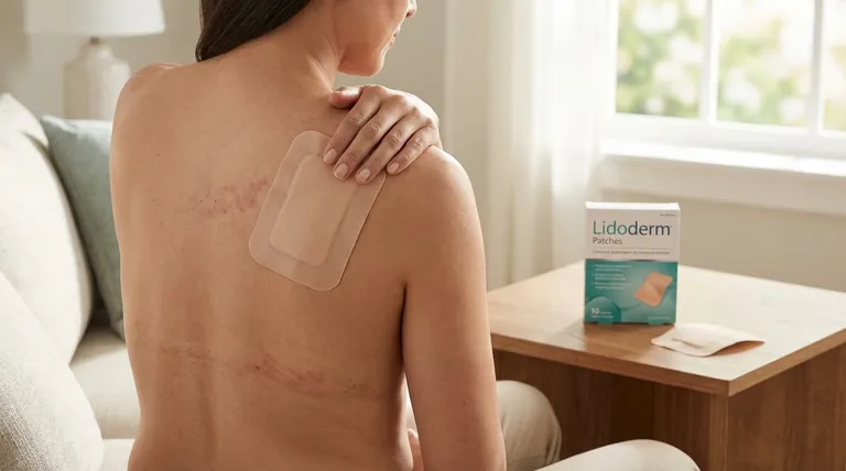 リドダームパッチの主な医療用途は何ですか?帯状疱疹後神経痛の標的疼痛緩和