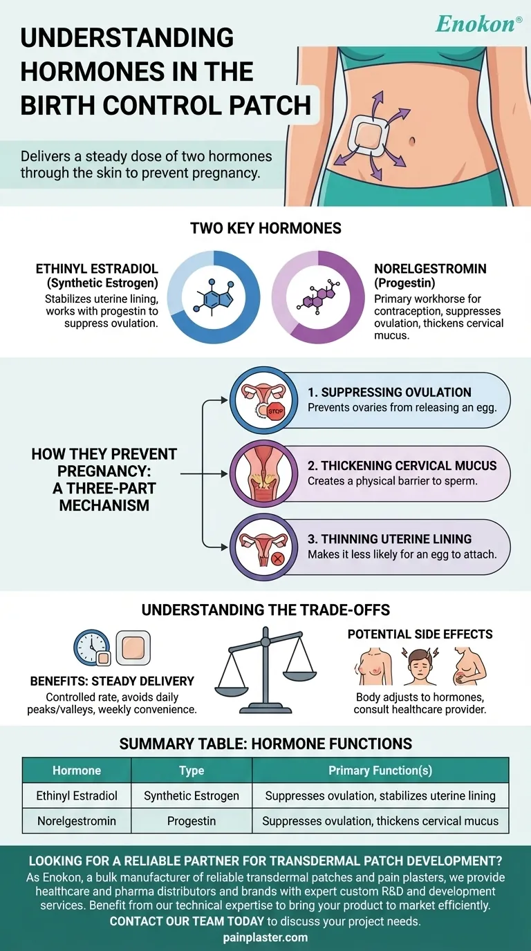 避孕贴中含有哪些激素？主要成分说明 图解指南