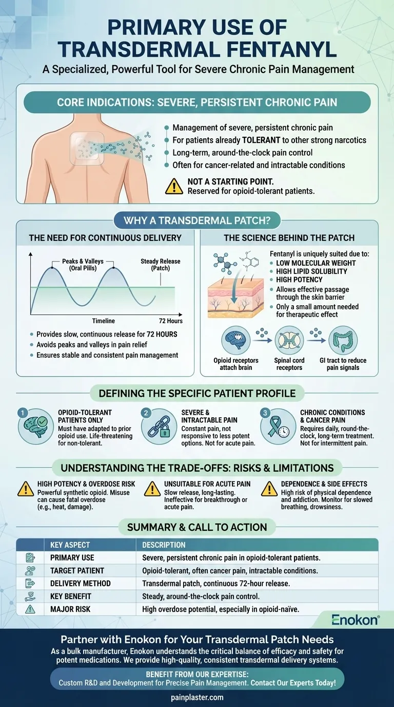 透皮芬太尼的主要用途是什么？缓解慢性疼痛的主要益处 图解指南