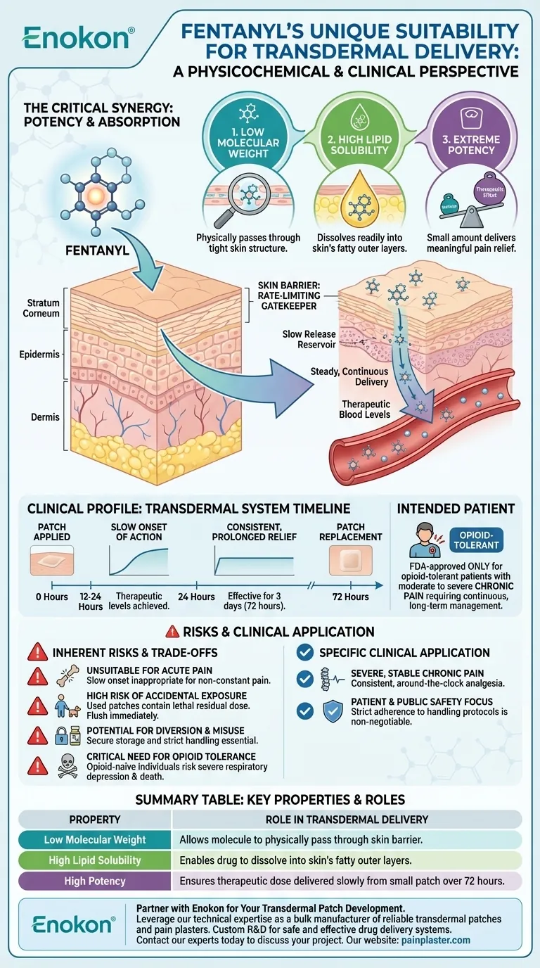 経皮投与に適したフェンタニルの主な特性とは？皮膚吸収による疼痛緩和の最適化 ビジュアルガイド