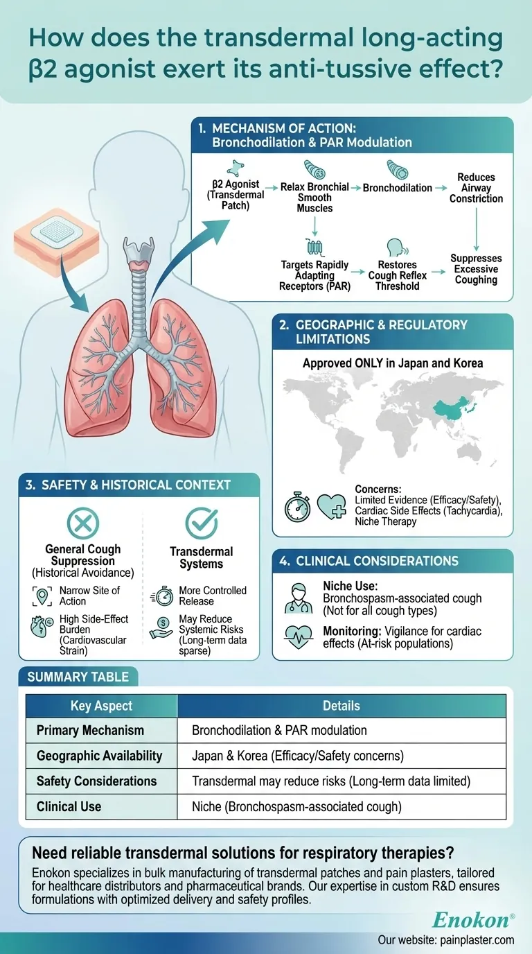 How does the transdermal long-acting β2 agonist exert its anti-tussive effect? Mechanism & Safety Explained Visual Guide