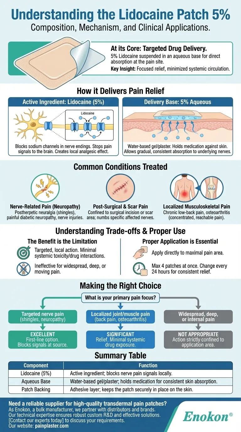 リドカインパッチ5％の成分は？主成分と効能の説明 ビジュアルガイド