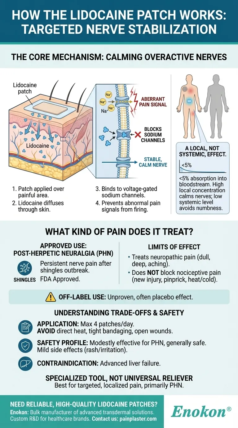 利多卡因贴片如何发挥作用？机制和益处详解 图解指南