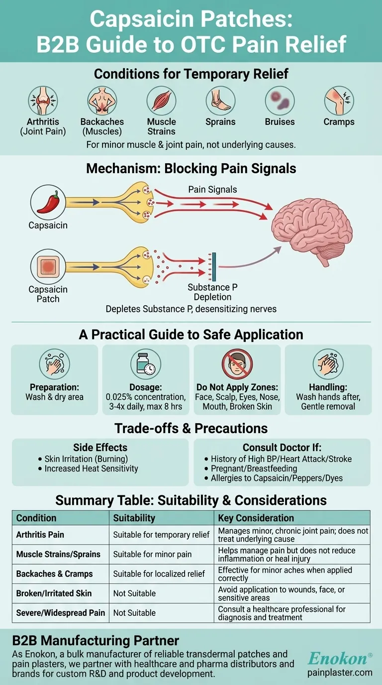 非处方辣椒素贴片对哪些病症有帮助？自然有效地缓解疼痛 图解指南