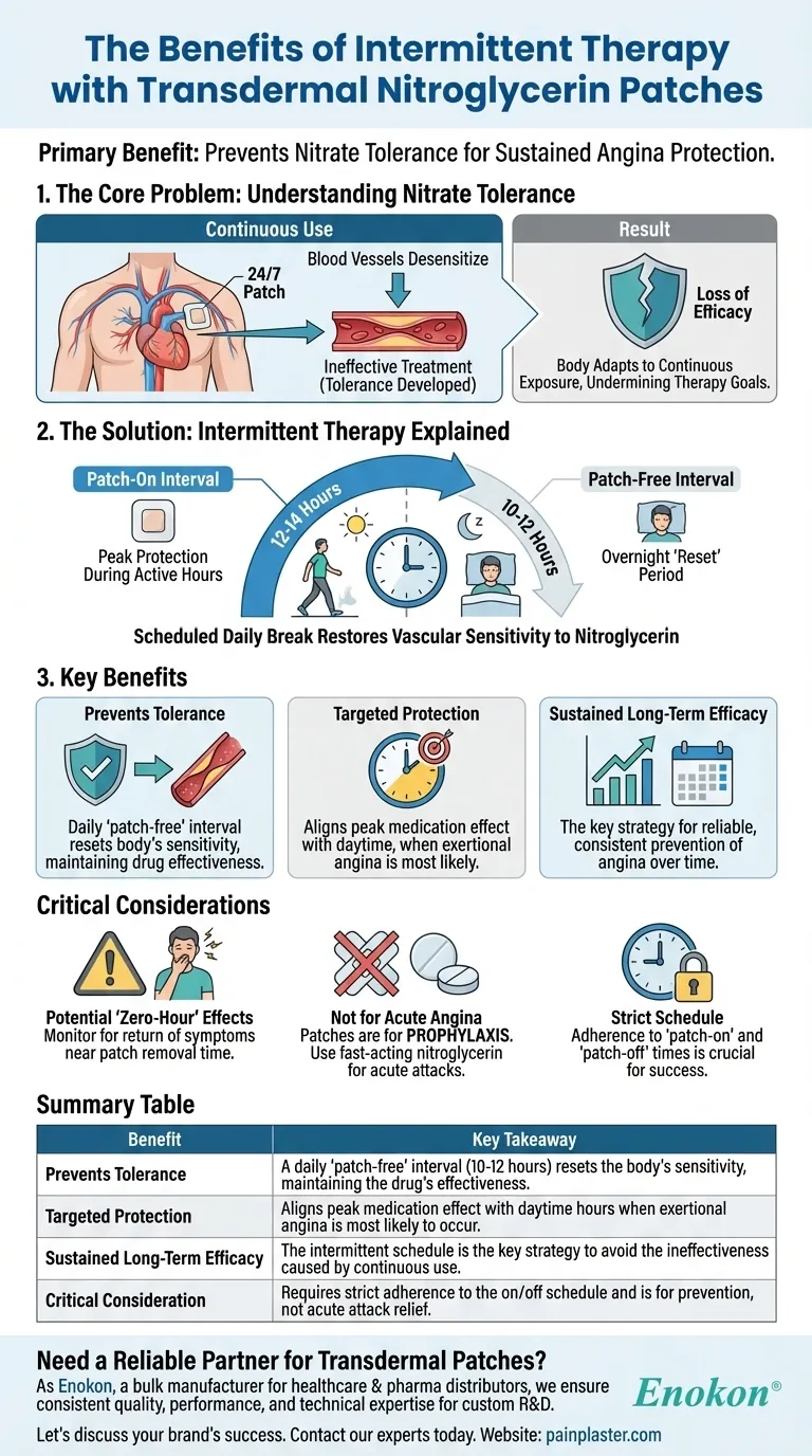 経皮ニトログリセリンパッチによる間欠療法の利点とは？時限的緩和による狭心症管理の最適化 ビジュアルガイド
