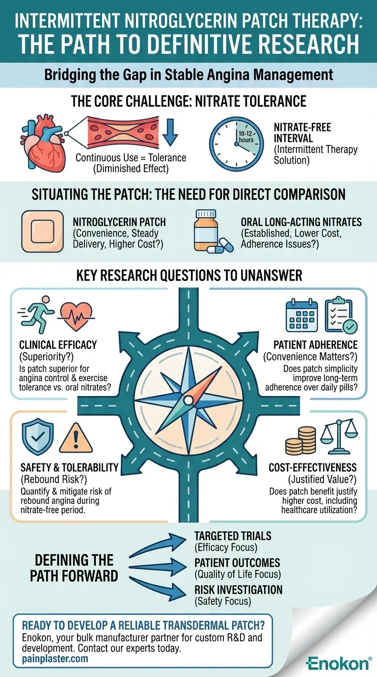 Que estudos adicionais são necessários relativamente à terapêutica com adesivos intermitentes de nitroglicerina?Principais lacunas de investigação explicadas Guia Visual
