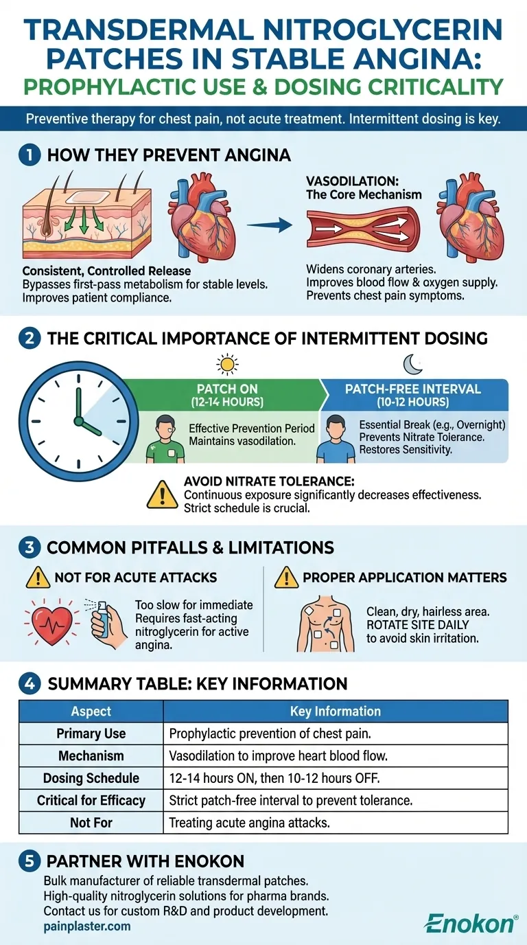 安定狭心症における経皮ニトログリセリンパッチの潜在的使用法とは？長期管理のための便利なソリューション ビジュアルガイド