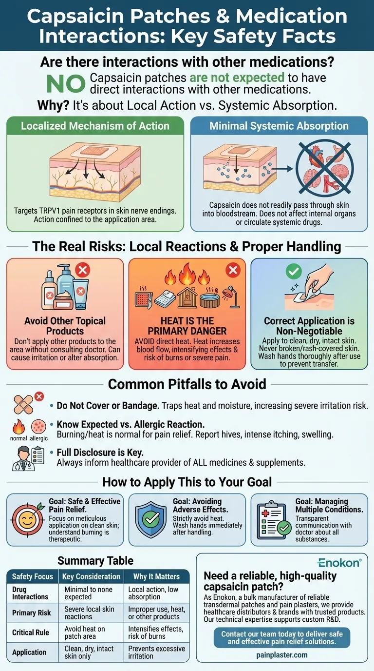 Existem interações com outros medicamentos quando se utilizam adesivos de capsaicina?Guia de segurança Guia Visual