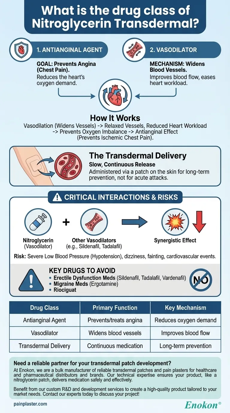 ニトログリセリン経皮吸収型製剤の薬効分類は？主な使用法と安全性に関する洞察 ビジュアルガイド