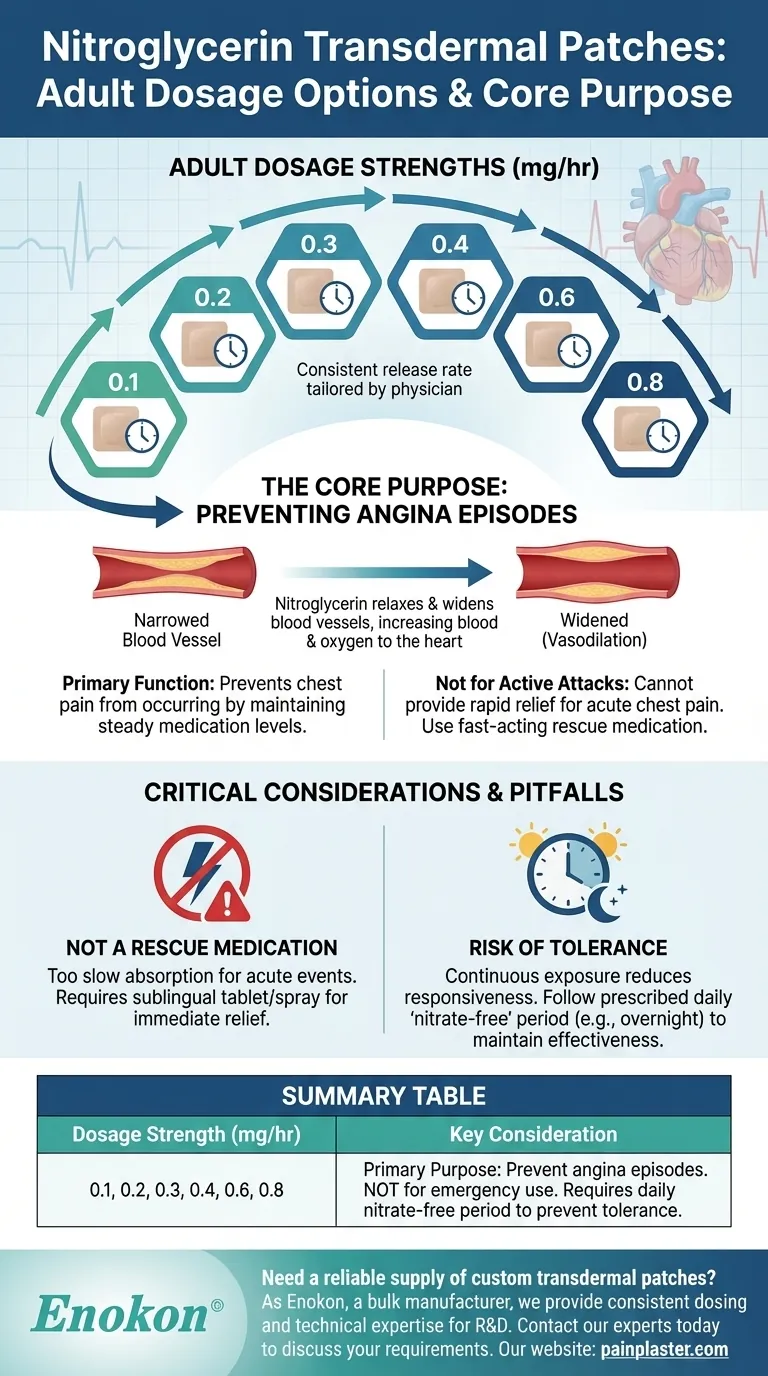 ニトログリセリン経皮パッチの成人用量の選択肢は？主な長所とガイドライン ビジュアルガイド