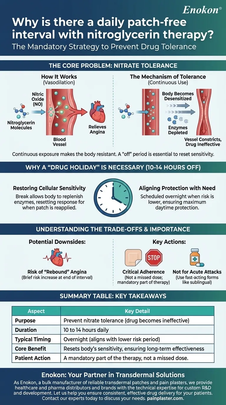なぜニトログリセリン治療では毎日パッチを貼らない間隔があるのか？有効性の維持と耐性の回避 ビジュアルガイド
