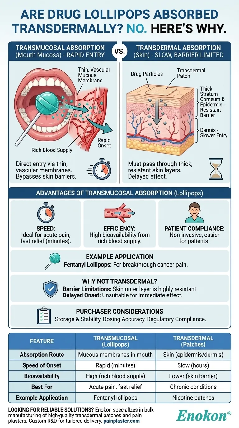 Os chupa-chupas são absorvidos por via transdérmica?Compreender a administração transmucosa vs. transdérmica Guia Visual