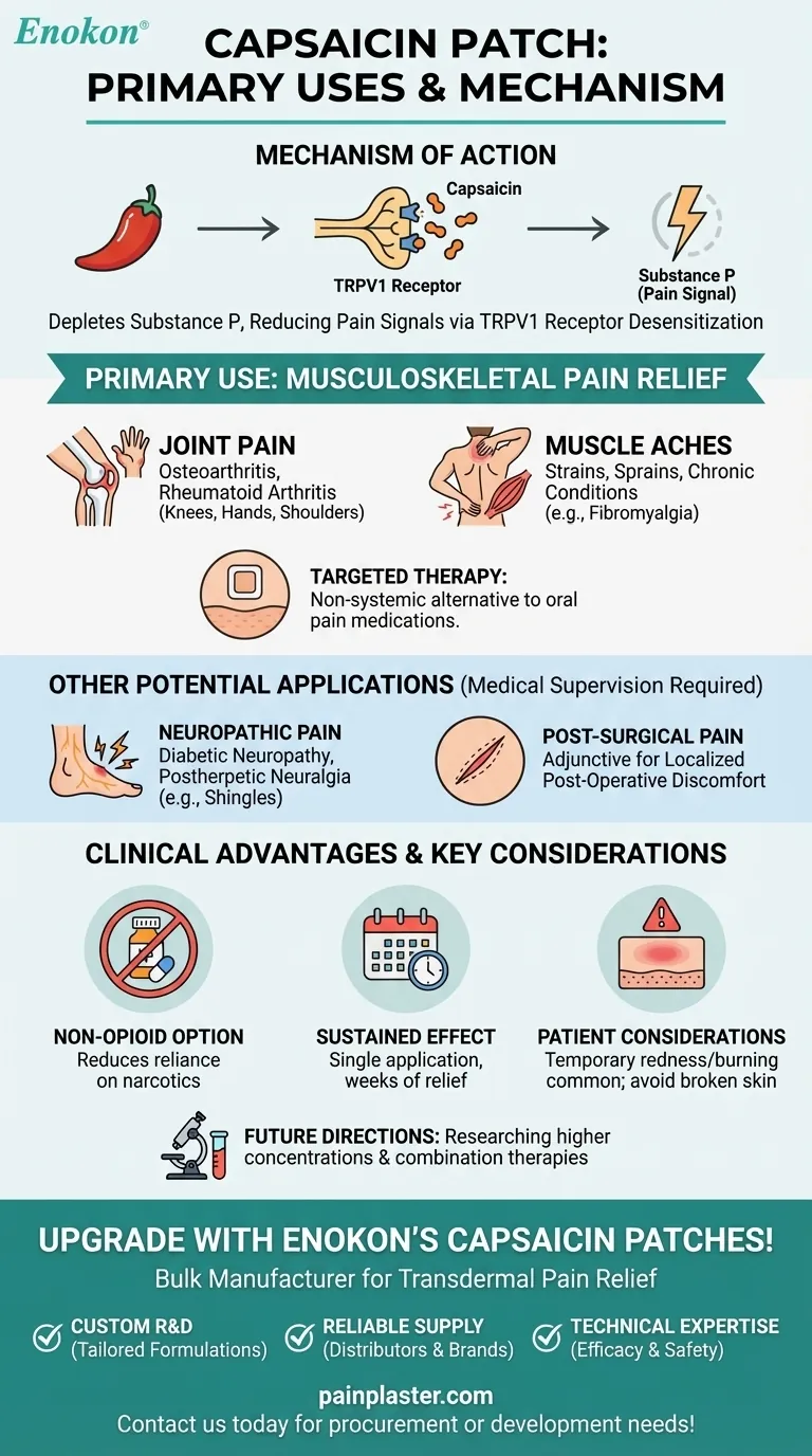 カプサイシンパッチの主な用途は？筋肉や関節の痛みを和らげます。 ビジュアルガイド