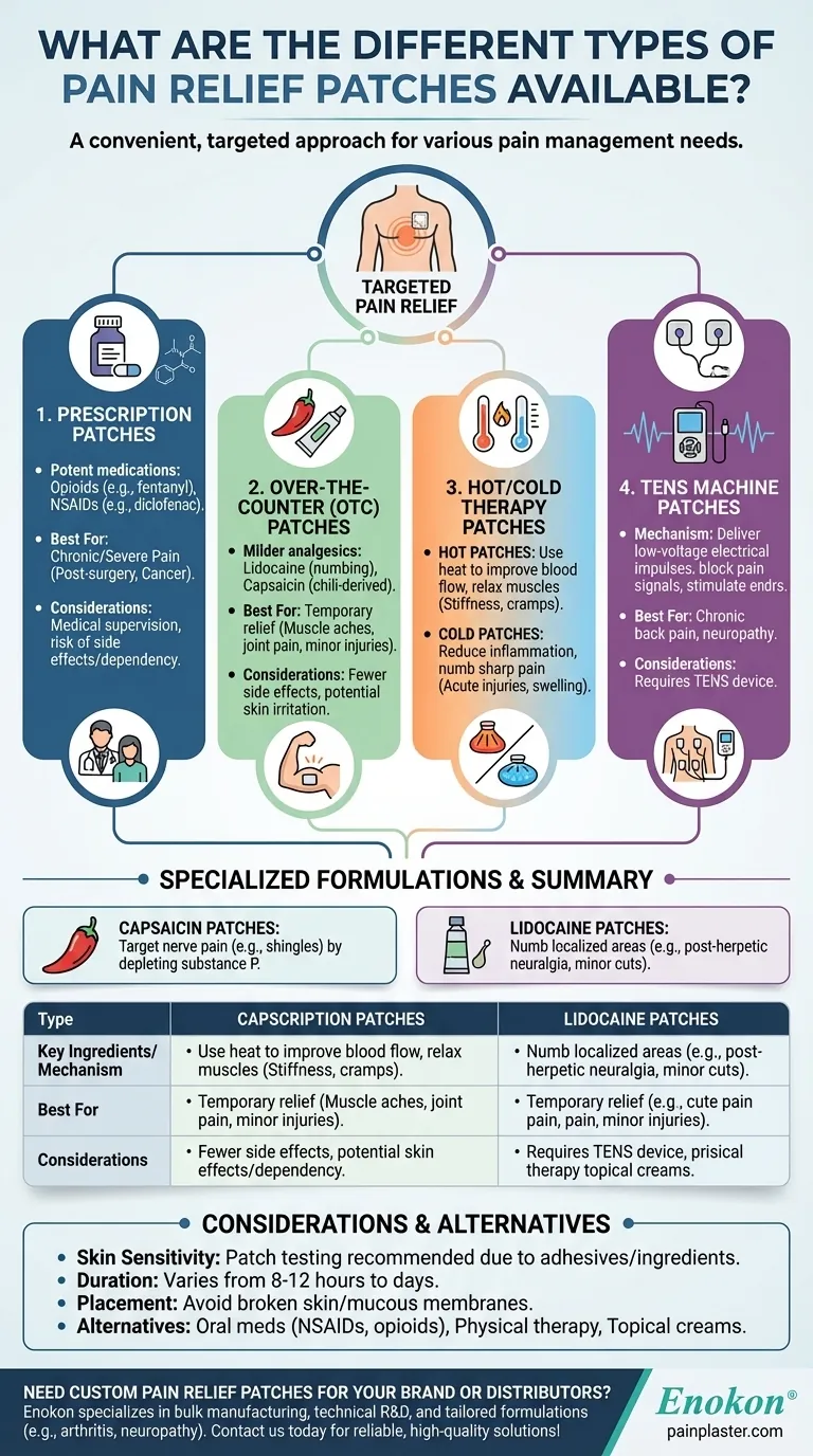 Quais são os diferentes tipos de adesivos para alívio da dor disponíveis?Encontre a solução certa para a sua dor Guia Visual