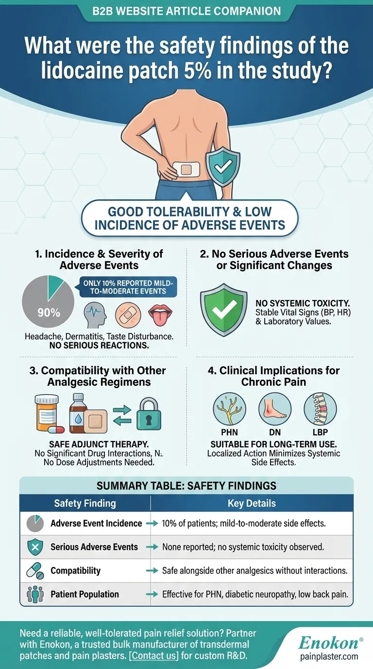 リドカインパッチ5%の安全性試験結果は？忍容性と有効性に関する重要な洞察 ビジュアルガイド