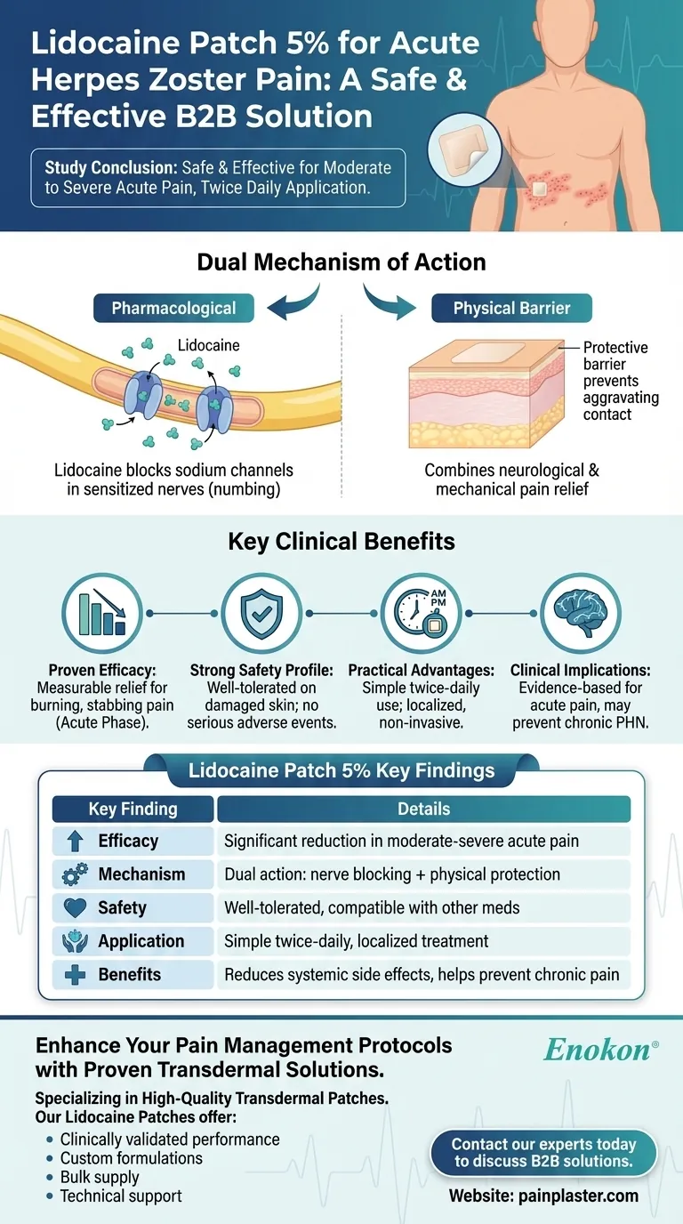 Que conclusão foi tirada sobre o adesivo de lidocaína a 5% para a dor aguda do herpes zoster?Alívio seguro e eficaz Guia Visual