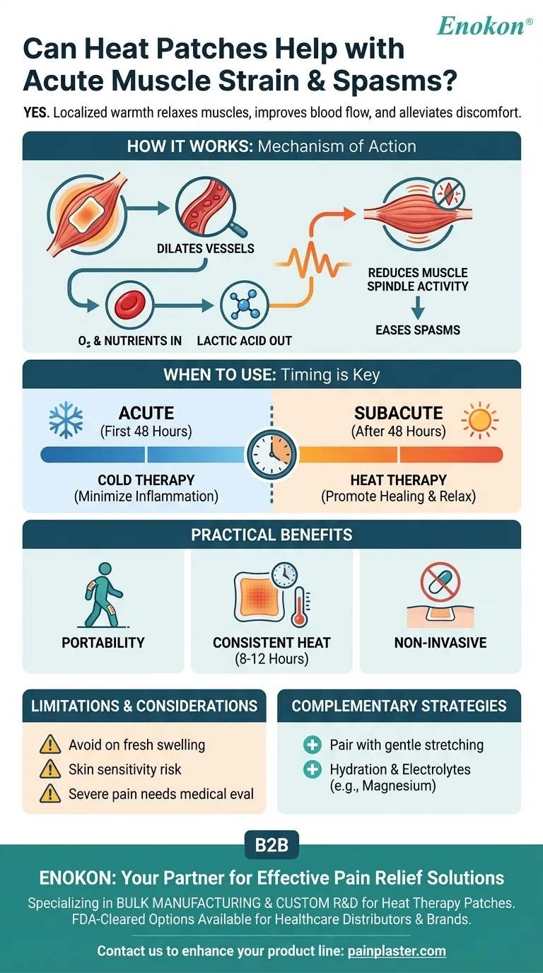 Os pensos térmicos podem ajudar nas tensões e espasmos musculares agudos?Descubra soluções de alívio eficazes Guia Visual